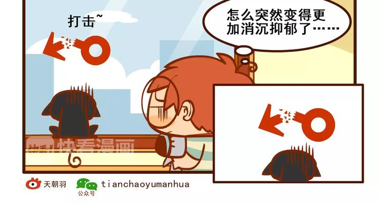 养猫记423