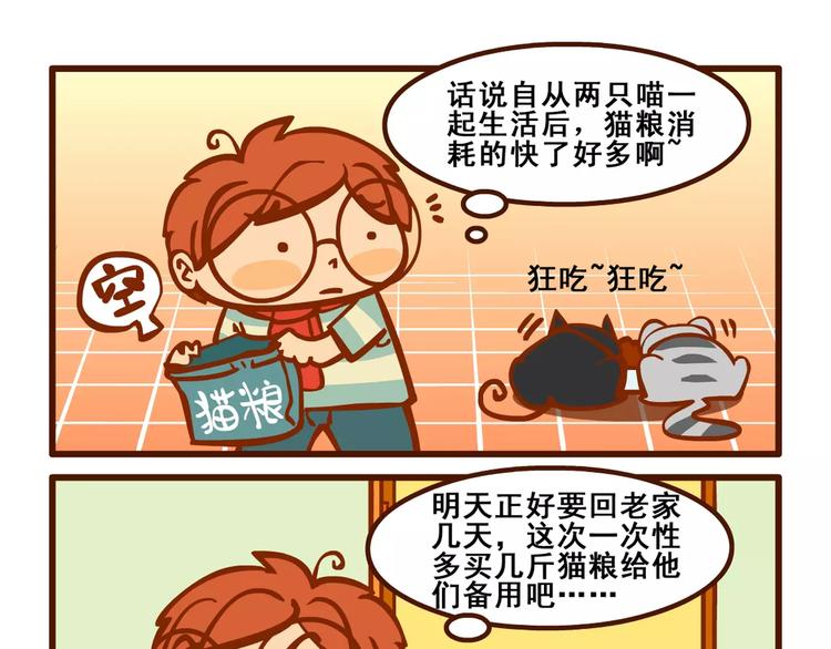 养猫记59