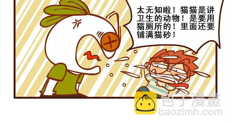 养猫记28