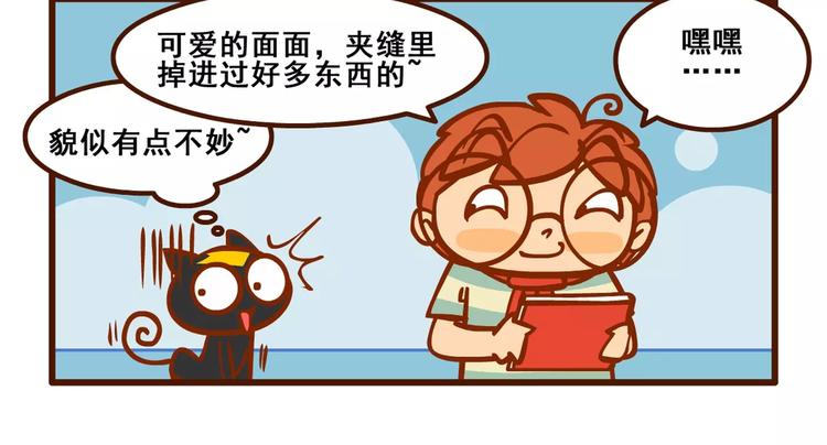 养猫记211