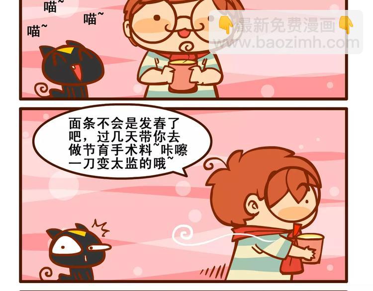 养猫记222