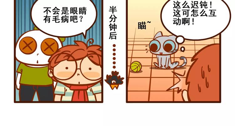 养猫记420