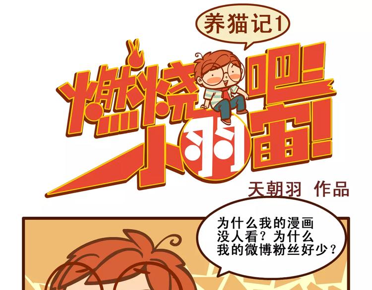 养猫记10