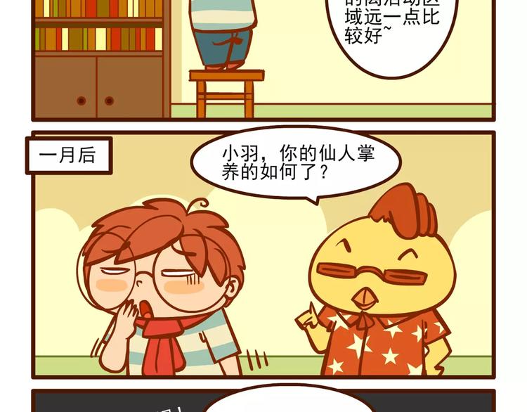 养花记13