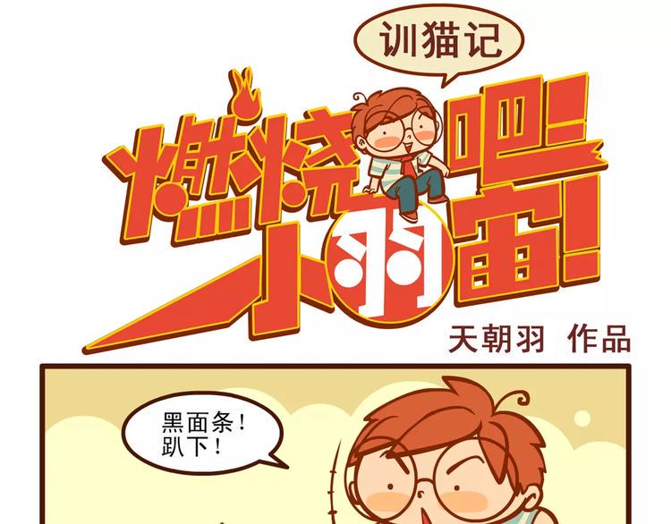 训猫记0