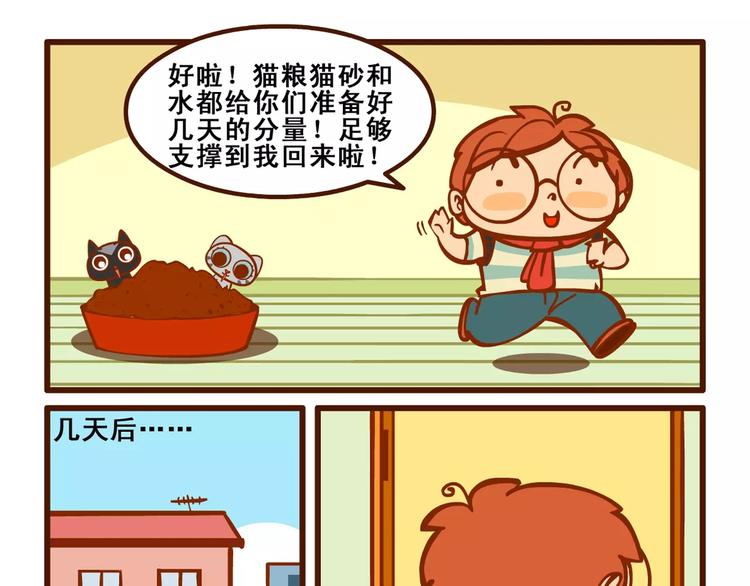 养猫记518