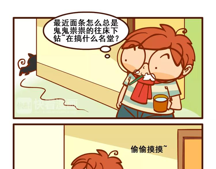 养猫记43