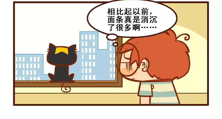 养猫记417