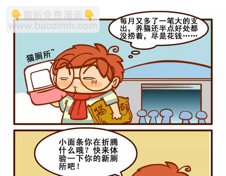 养猫记29