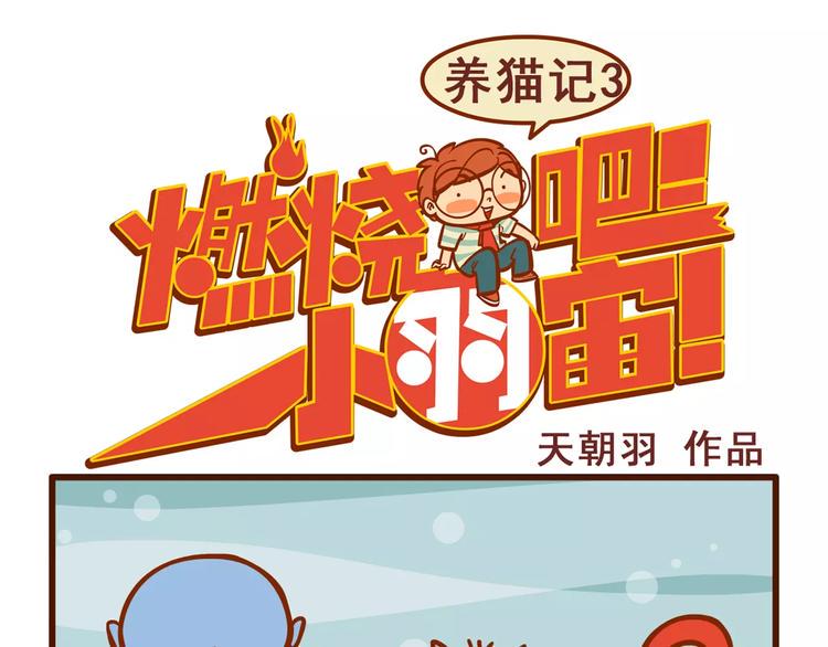 养猫记30