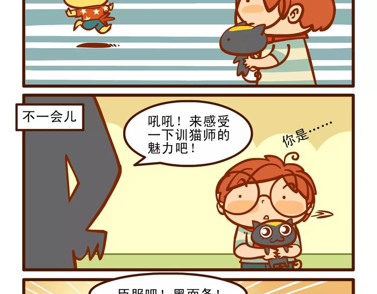 训猫记10