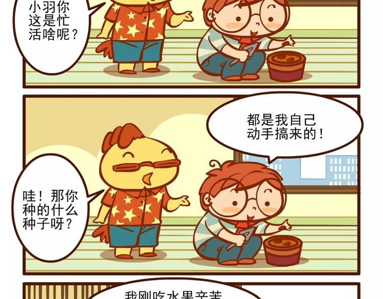 养花记4