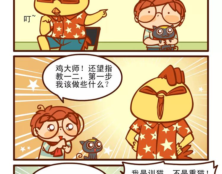 训猫记7