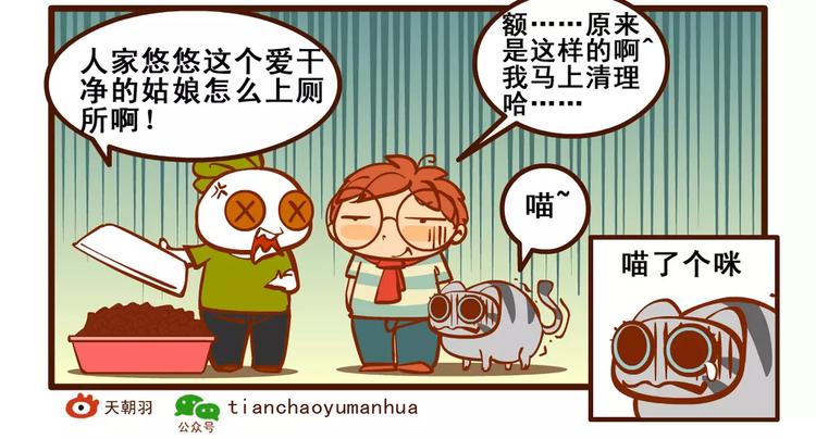 养猫记523