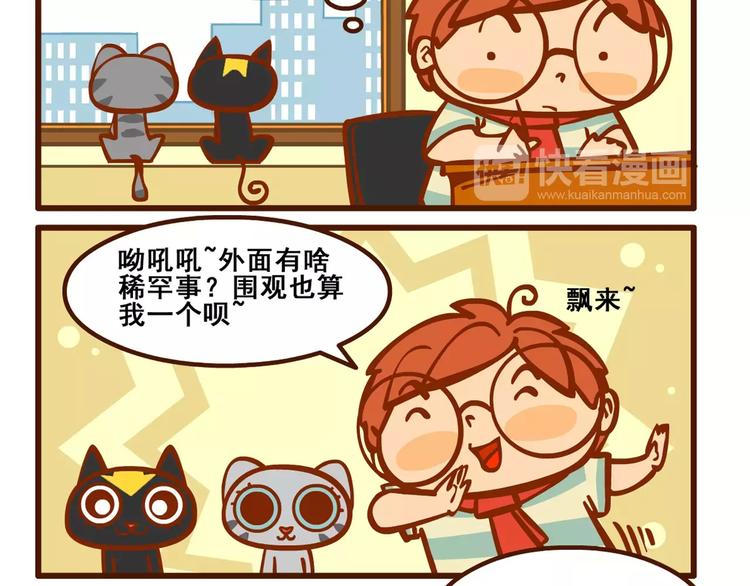 养猫记54