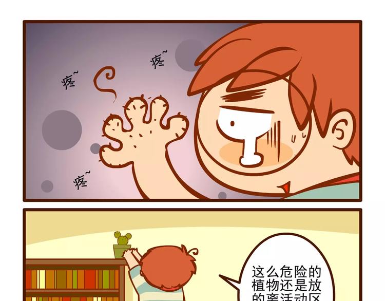 养花记12