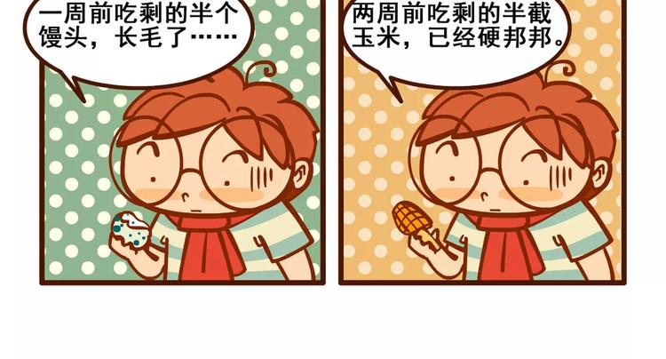 养猫记48
