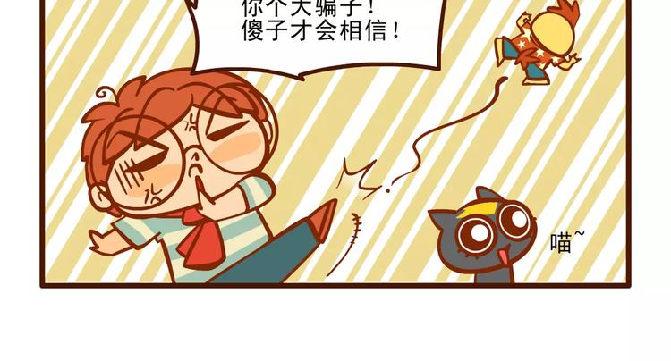 训猫记14
