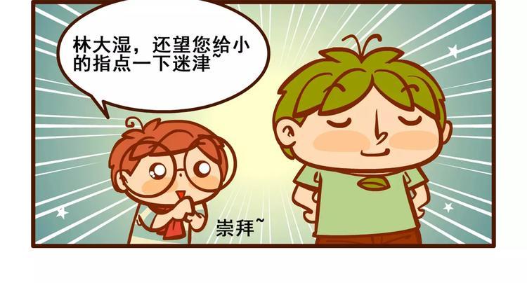 养猫记12