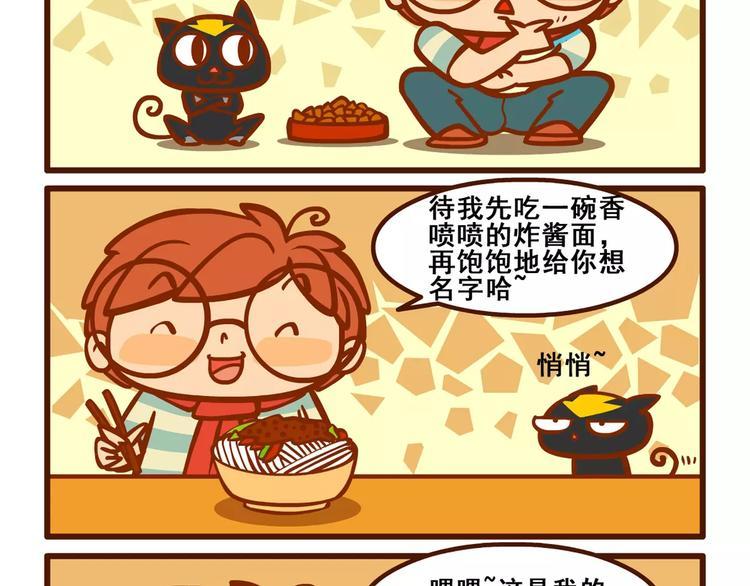 养猫记119