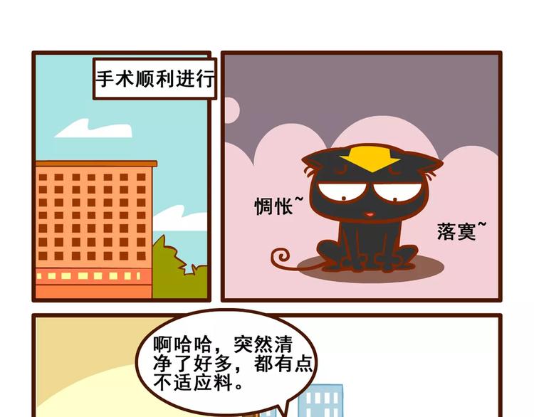 养猫记415
