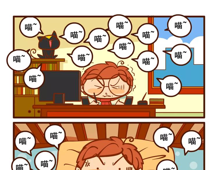 养猫记412