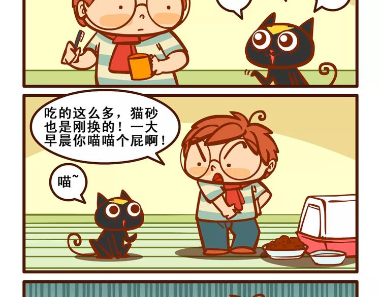 养猫记51
