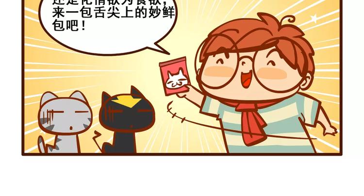 养猫记58