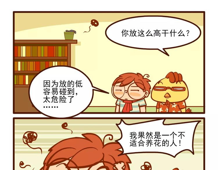 养花记15