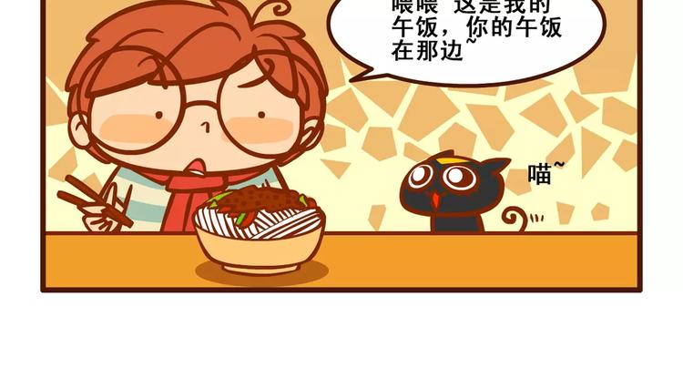 养猫记120