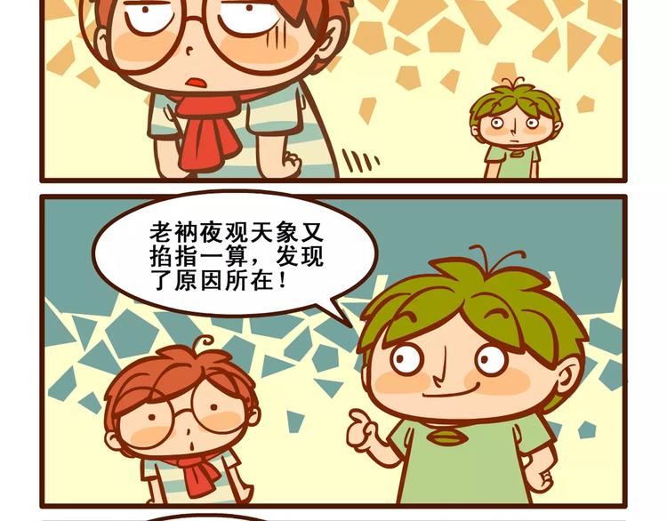 养猫记11