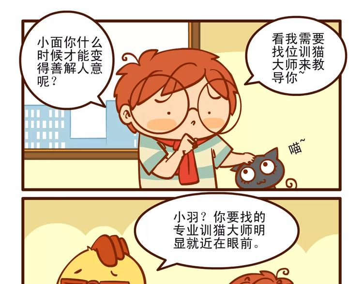 训猫记6