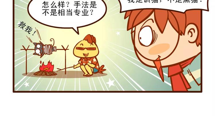 训猫记8