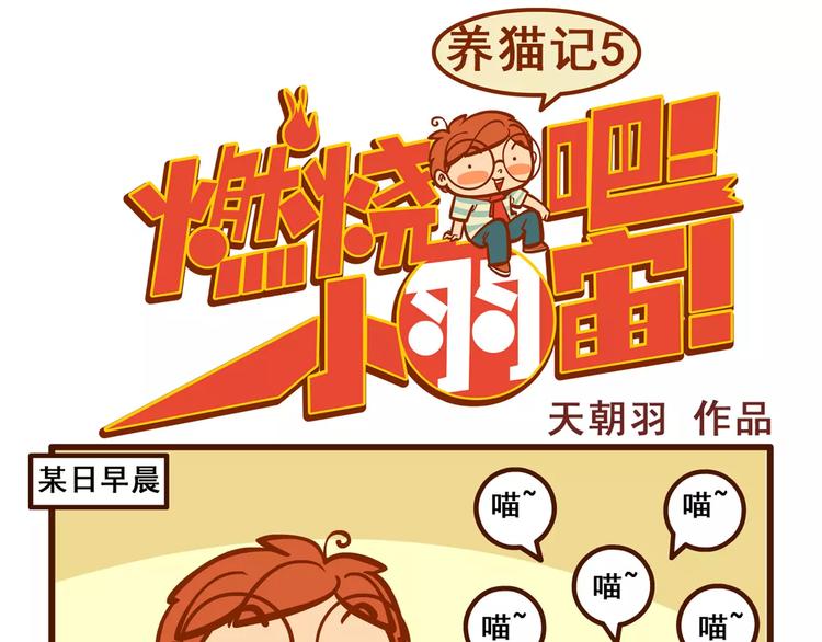 养猫记50