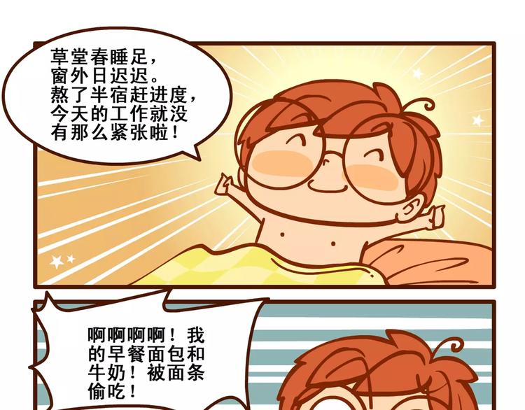 养猫记315