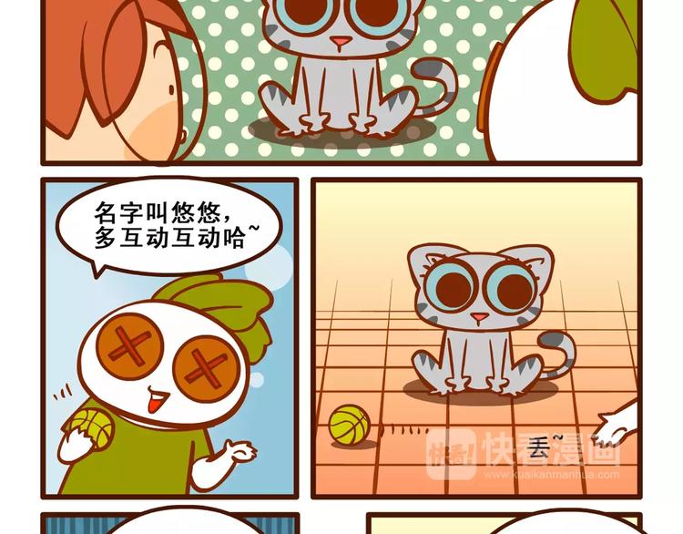 养猫记419
