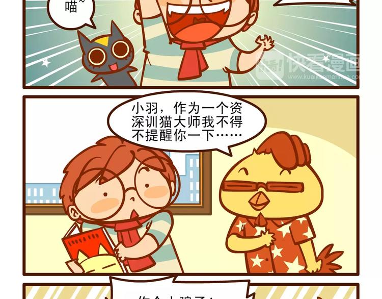 训猫记13