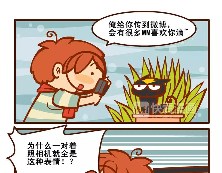 养猫记39