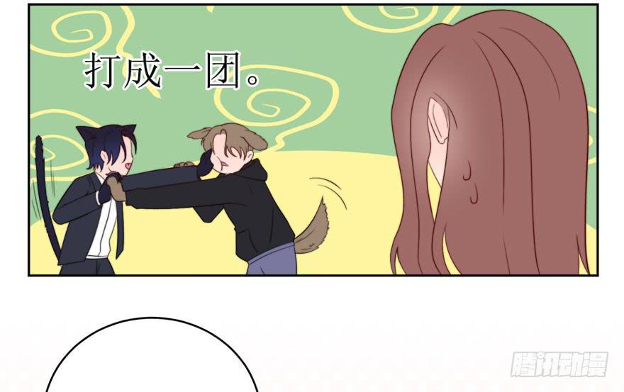 停更公告2