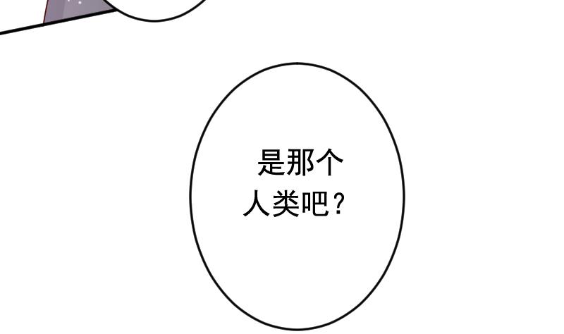第31话 月神的另一传说28