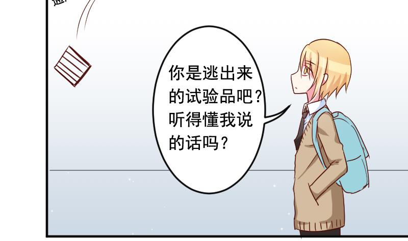 第28话 五年前22