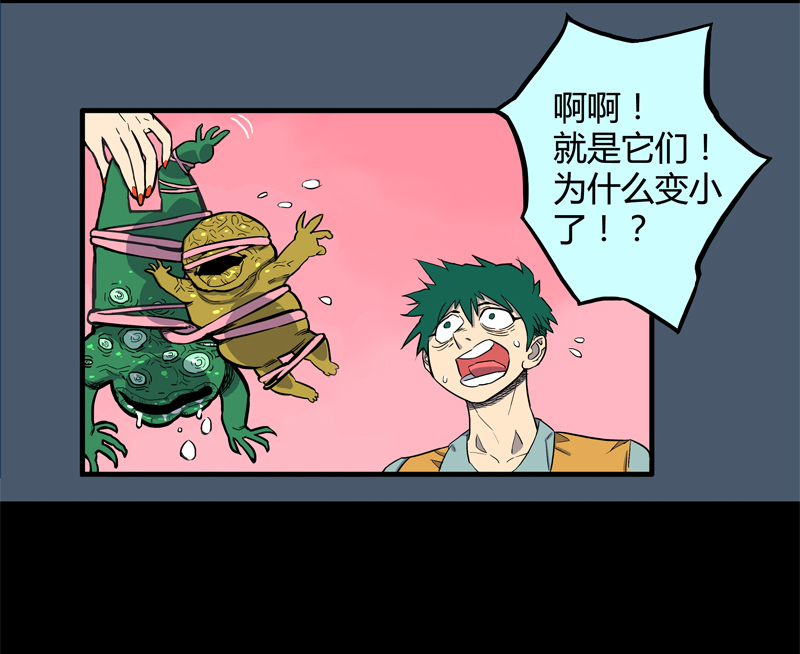 特别篇 阴阳兽28