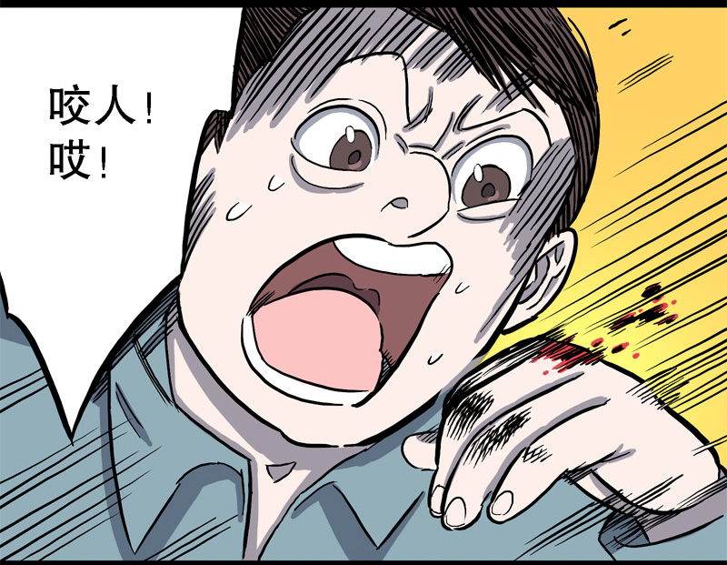 骗仔儿（下）7