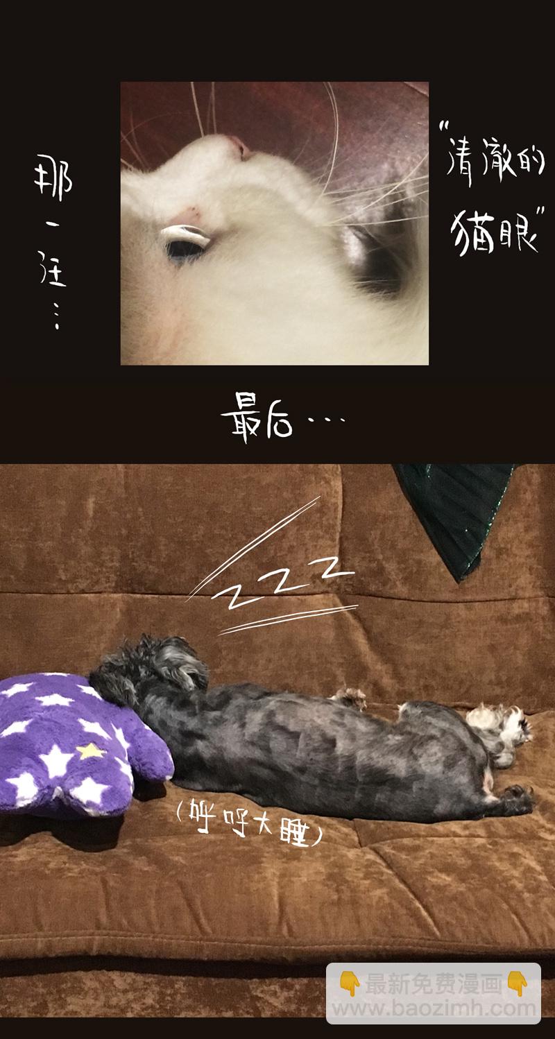 荒村直播（4）30