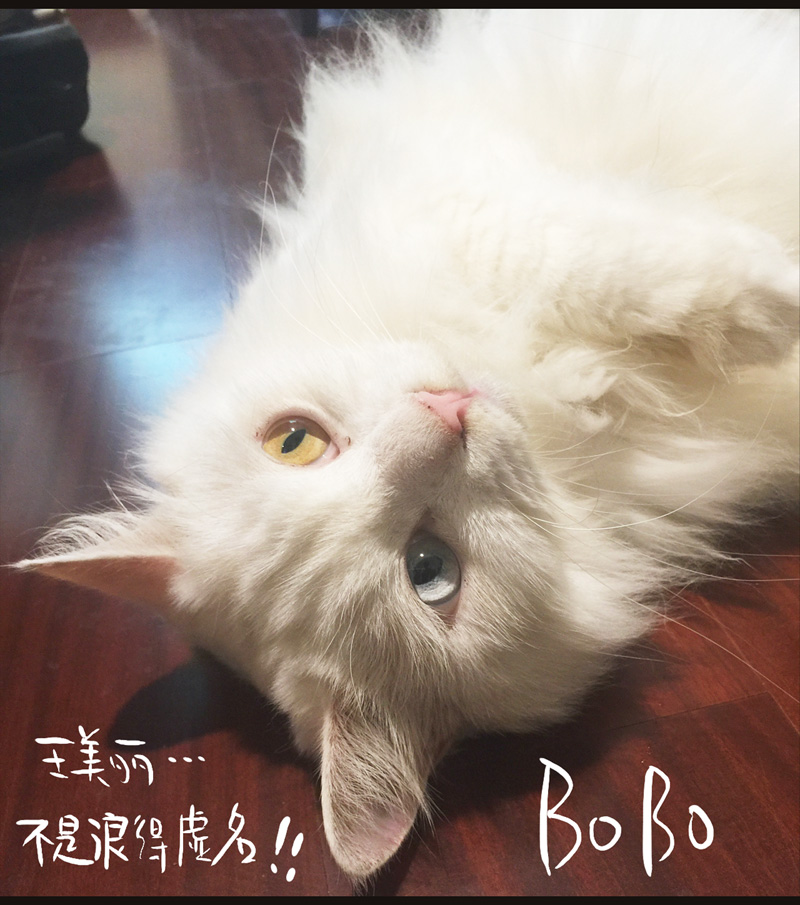 荒村直播（4）29