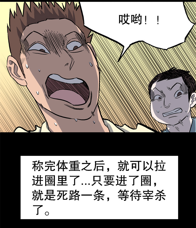 骗仔儿（下）13