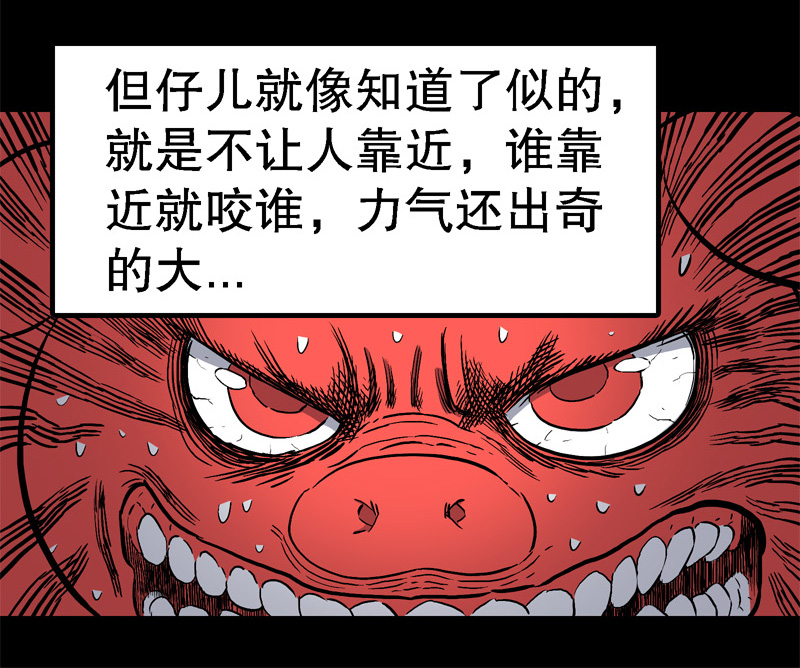 骗仔儿（下）14
