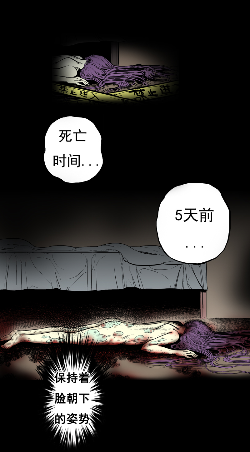 面对面（下）5