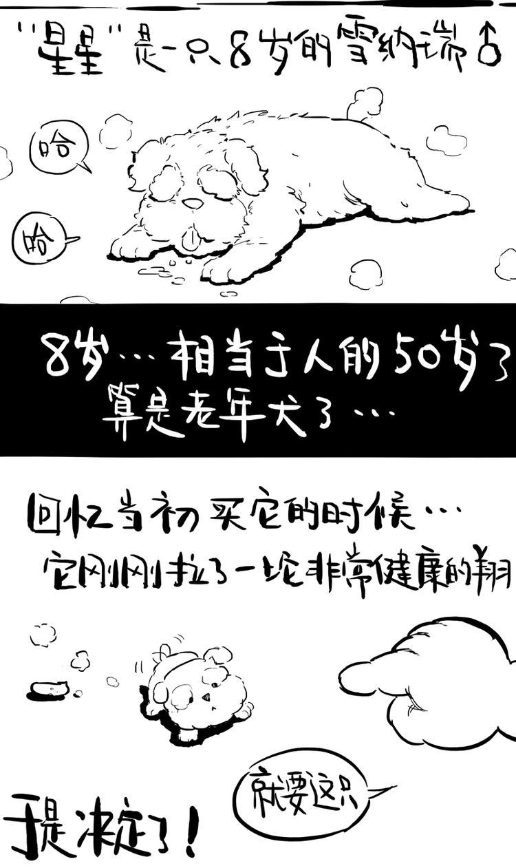 番外 作者日记（二）1
