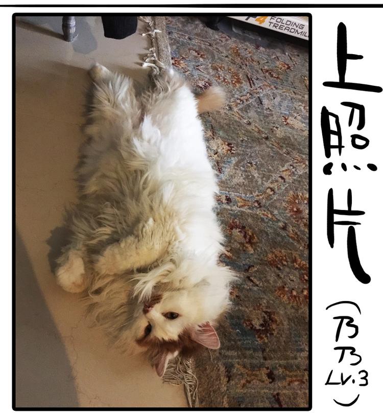 番外 作者日记（二）5